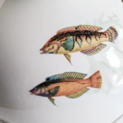 Amami Amphora Vaso in porcellana con pesci tropicali H32Cm