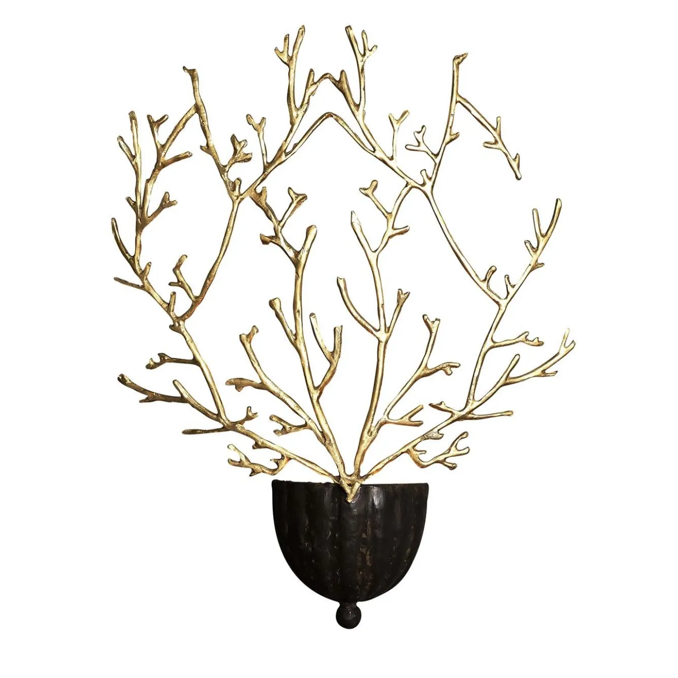 Applique Coralli