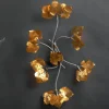 Applique Raspo