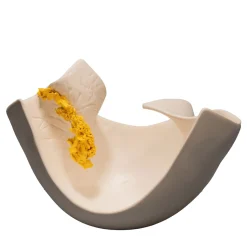 Bordi Alti Ciotola bianca