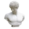 Busto di Antinoo in Gesso Bianco