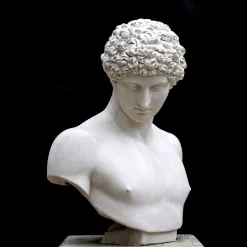 Busto di Antinoo in Gesso Bianco