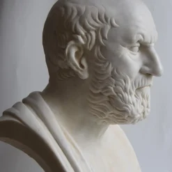Busto di Ippocrate bianco di Carrara