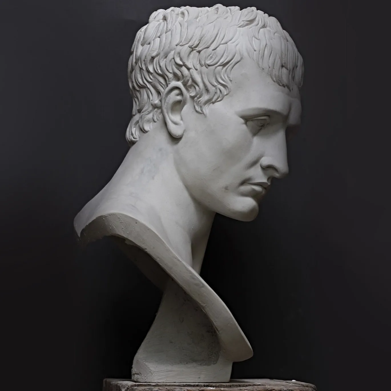 Busto di Napoleone