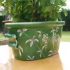 Cachepot ovale verde Devonshire