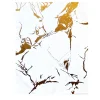 Calacatta Luxury Pannello Decorativo