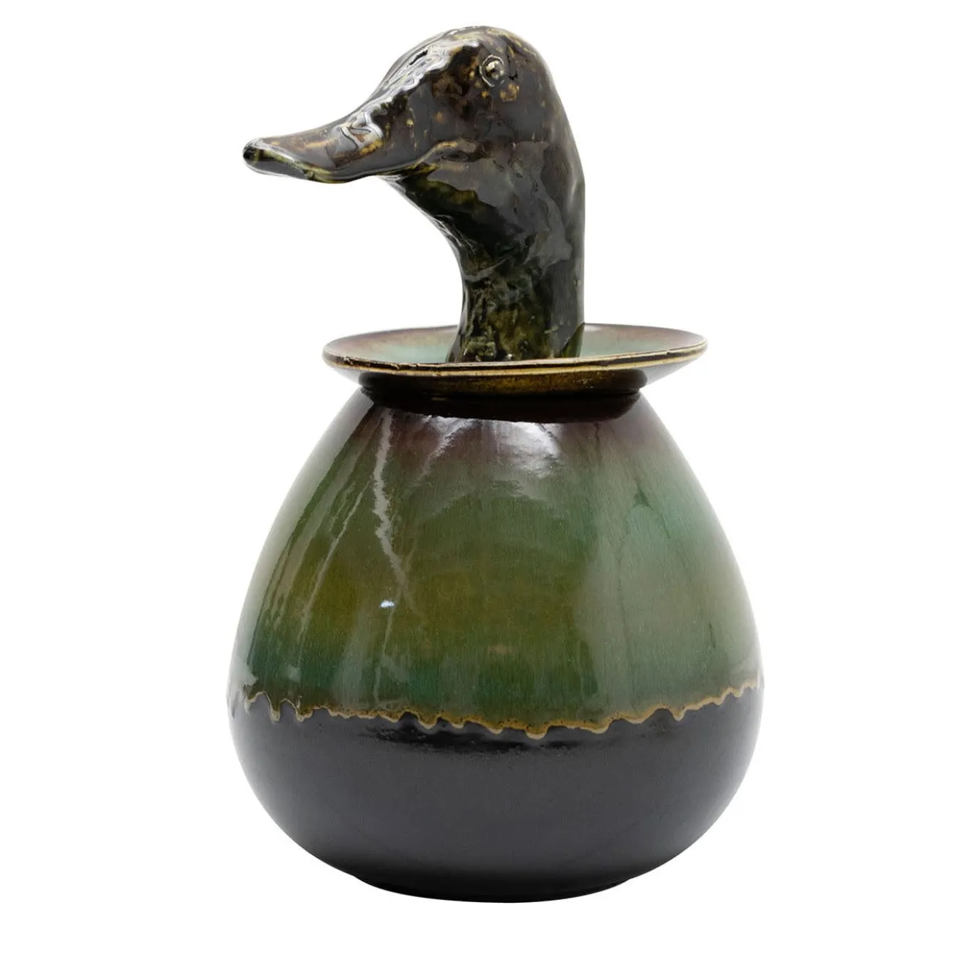 Canopo Anatra Vaso nero e verde #2