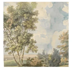 Carta da parati con campagna inglese