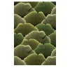 Carta da Parati da Esterno Summer Biloba Facade 22 Verde