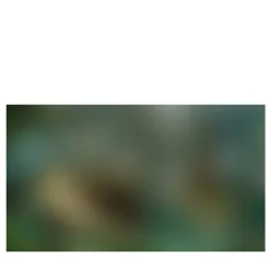 Carta da parati Nebula Il Sogno #2