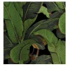 Carta da Parati Tropicale Nera e Verde con Foglie di Banano