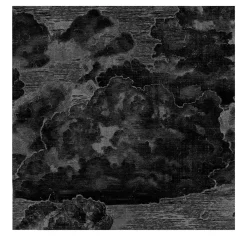 Carta da Parati Vintage Nera con Nuvole