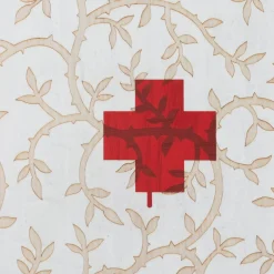 Cassetta di pronto soccorso beige e rossa