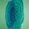 Centrotavola Big Surprise 1 in Resina Blu e Verde di Gaetano Pesce