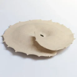 Centrotavola in ceramica smaltata avorio Ossa trigonella radiata