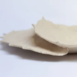 Centrotavola in ceramica smaltata avorio Ossa trigonella radiata