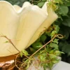 Ciotola Scultorea Ballarina In Vetro Di Murano Oro Rosso e Crema Effetto Marmo
