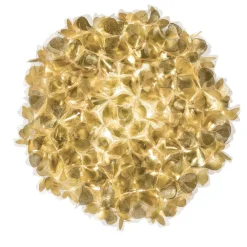 Clizia Mama Non Mama Grande Lampada da parete dorata