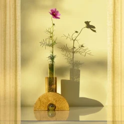 Cochlea della Metamorfosi - 1 Vaso