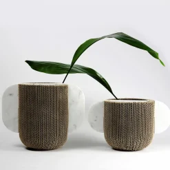 Confinare il vaso n. 1