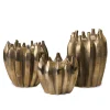 Coppa Thorn
