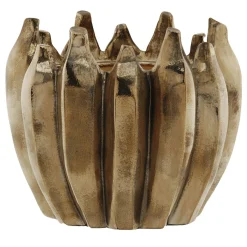 Coppa Thorn