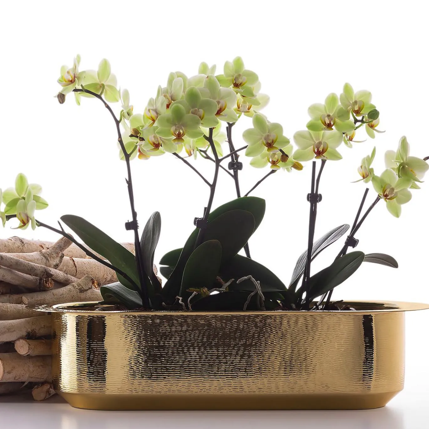Davanzale Window Box