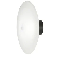 Desideria Nero Sconce