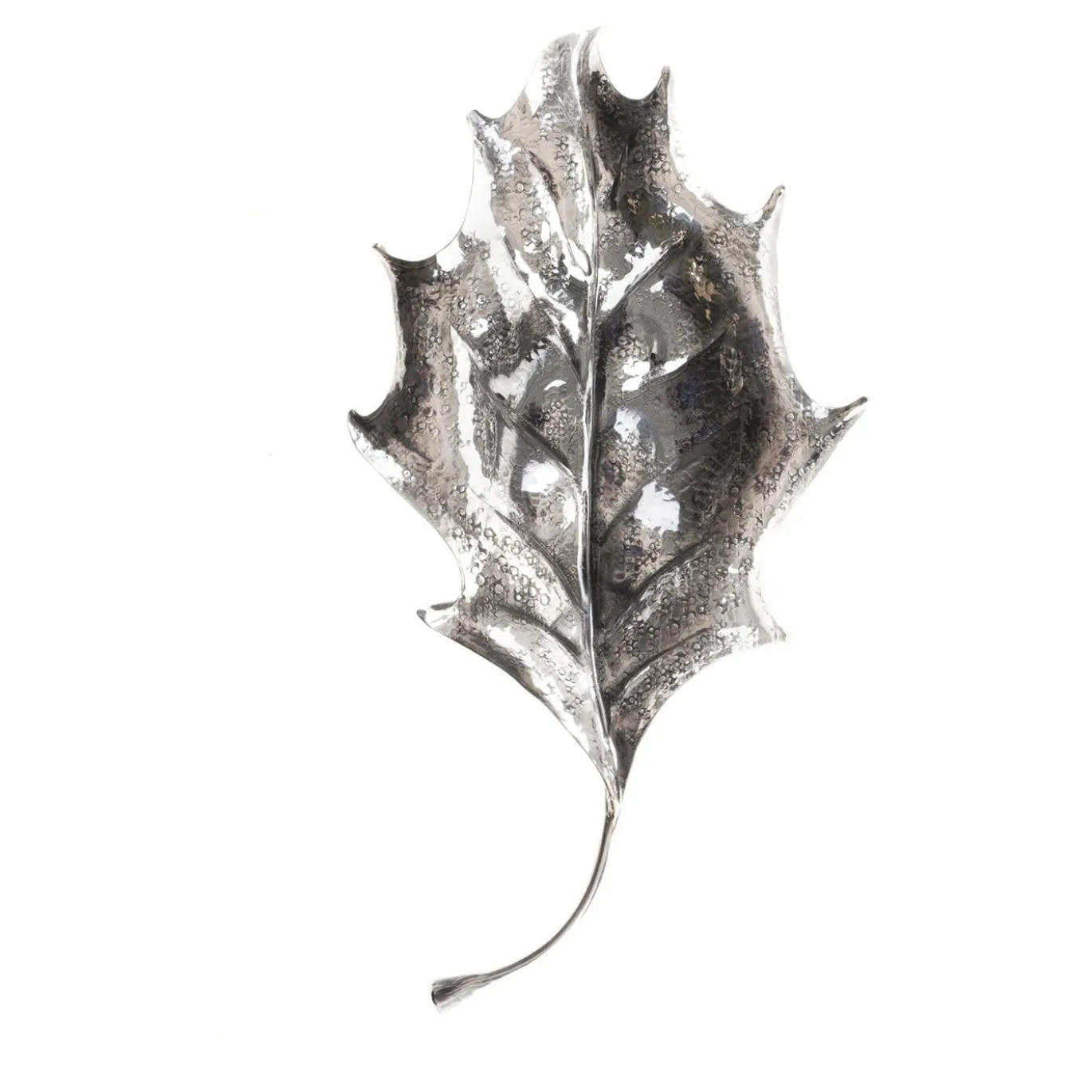 Foglia d'argento Holly