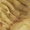 FTG Vaso di legno scanalato