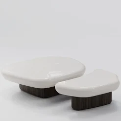 Kawa Minor Tortora Wood And Dark Stained Walnut Coffee Table