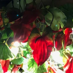 Lampada da soffitto rotonda piccola Flower Power Red Anthurium