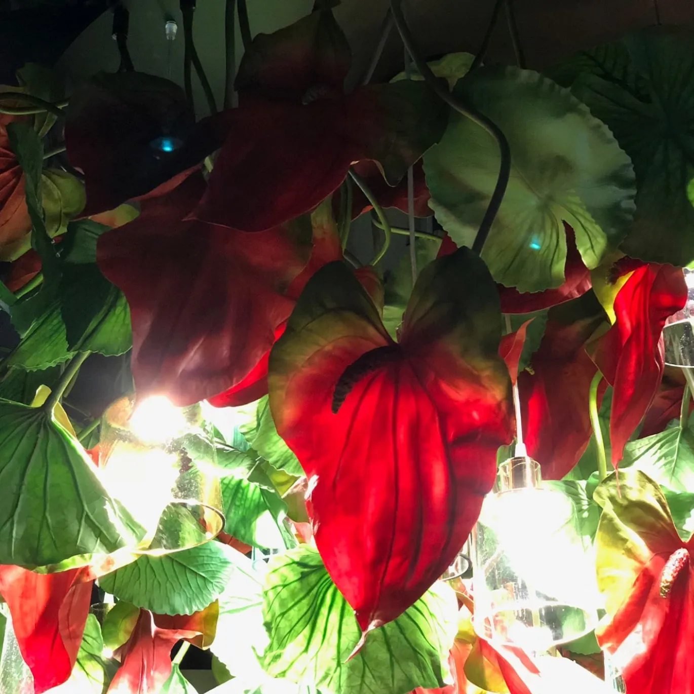 Lampada da soffitto rotonda piccola Flower Power Red Anthurium