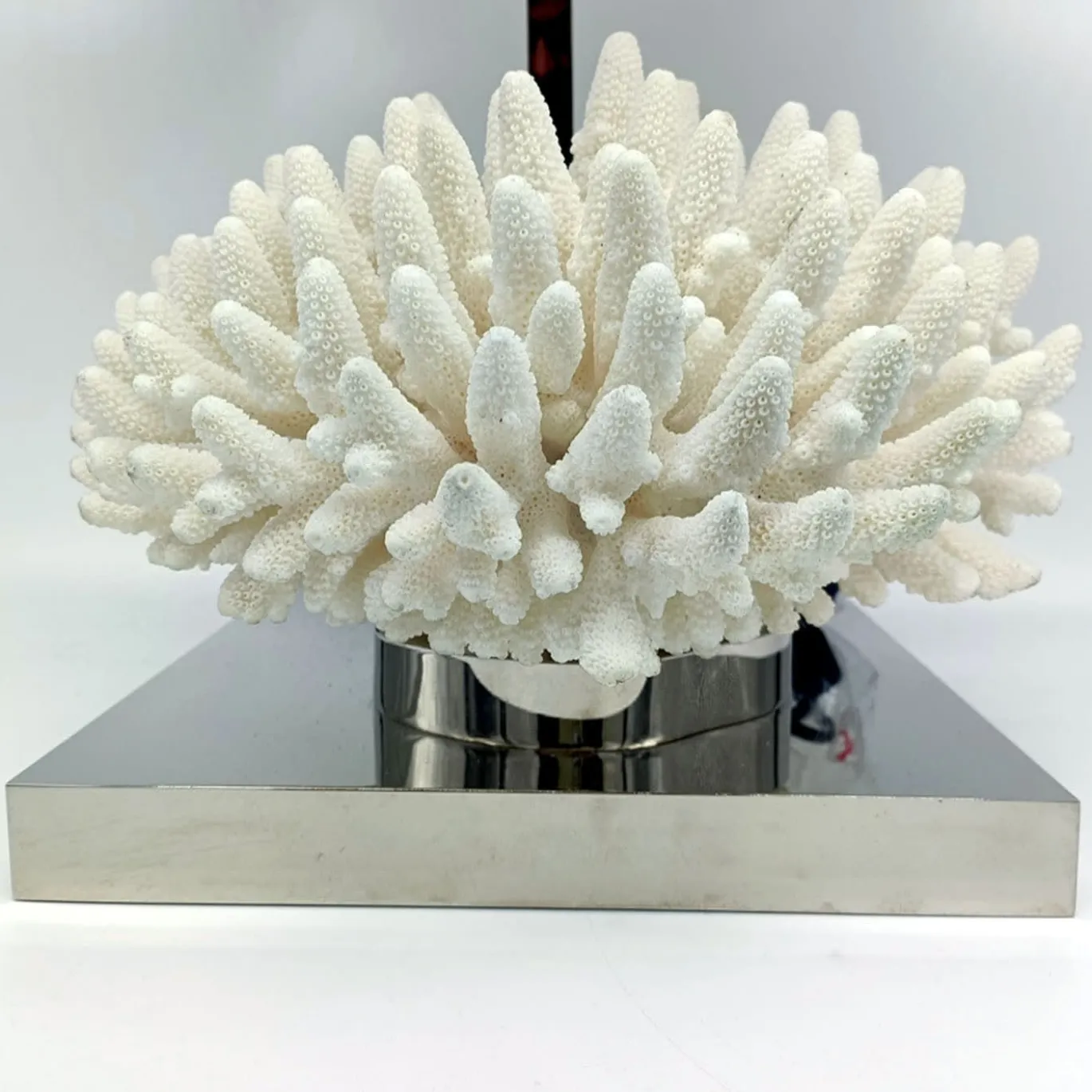 Lampada da tavolo Coral White and Blue