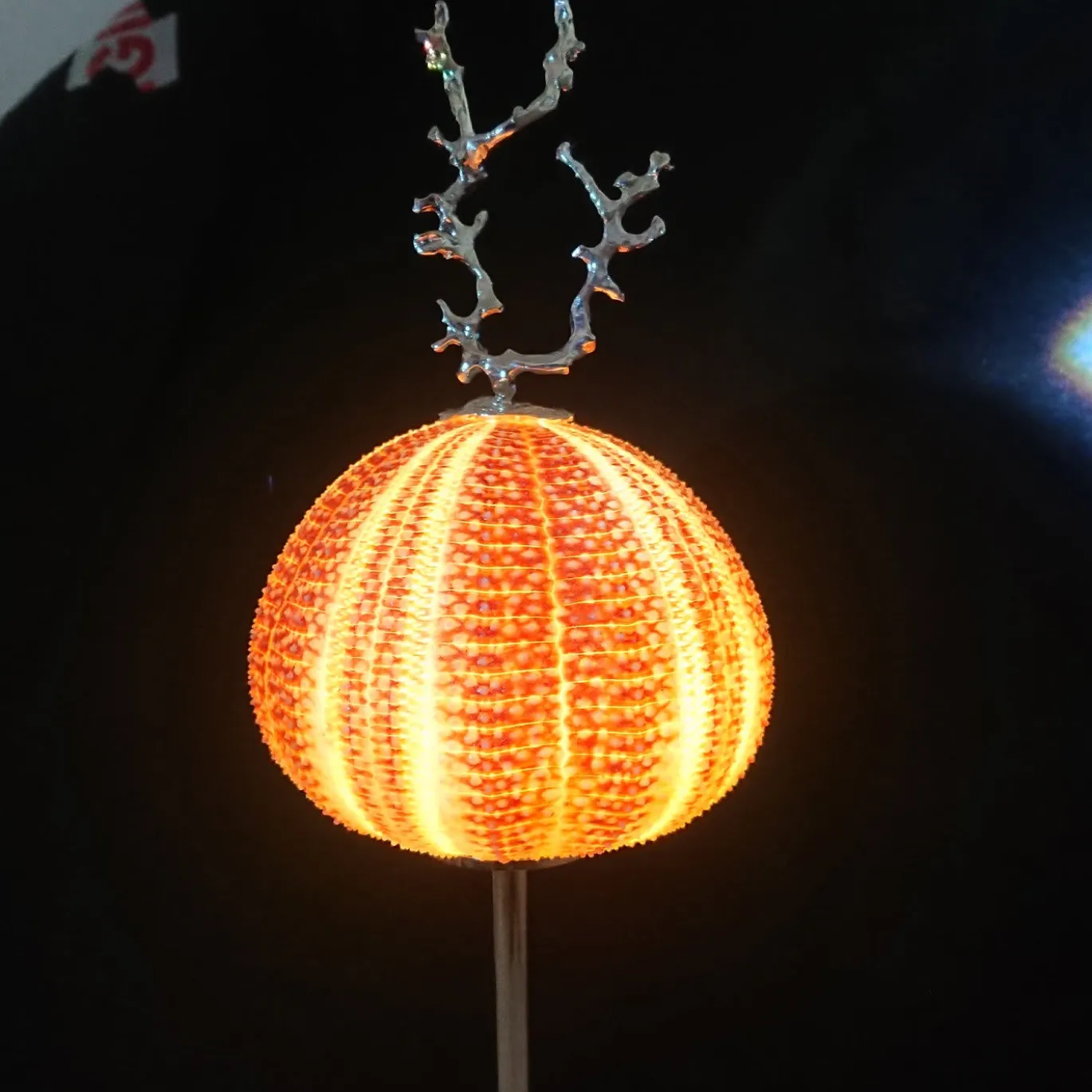 Lampada Rich-O Corallo