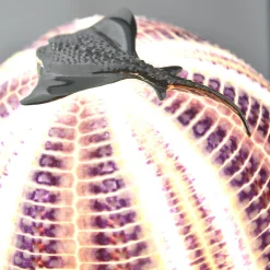 Lampada Rich-O Manta Fish