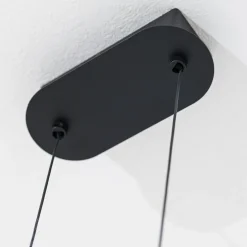 Lampadario Curvo Ali di Luce Nero e Verde