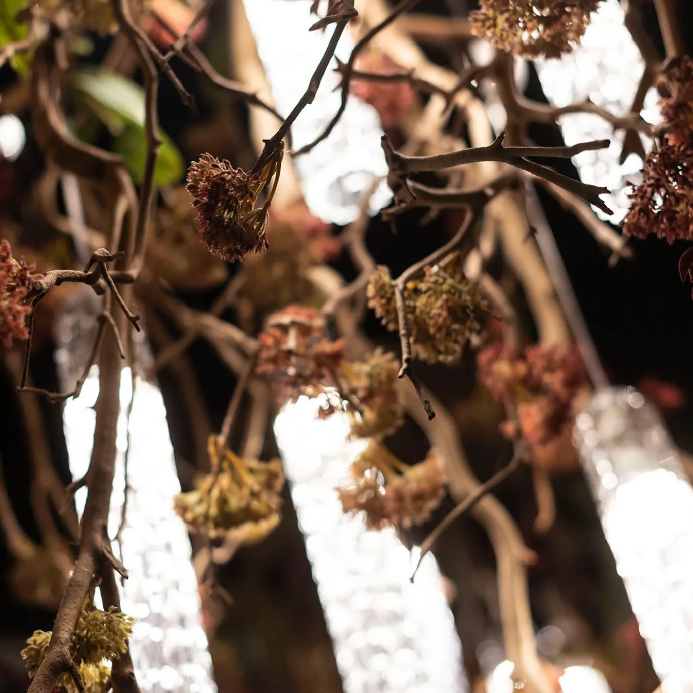 Lampadario Flower Power Manzanita
