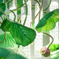 Lampadario quadrato Flower Power Lotus Dichondra