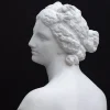 La scultura della Venere De' Medici