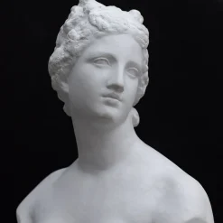 La scultura della Venere De' Medici