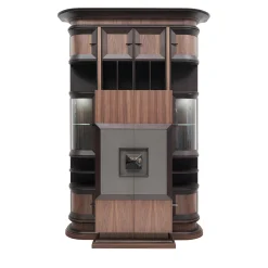 Libreria con mobile bar