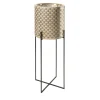 Nexum Ottico 80 Oro Chachepot