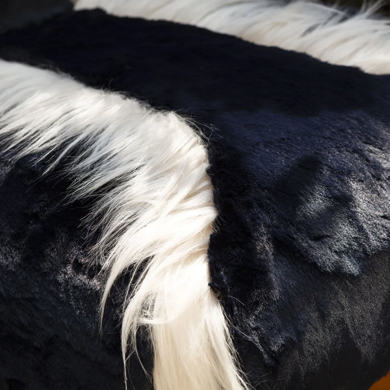 Poltrona con base girevole Nuvola nera e bianca