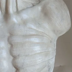 Scorticato Busto anatomico in marmo Scultura