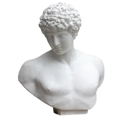 Scultura Antinoo in Gesso Bianco
