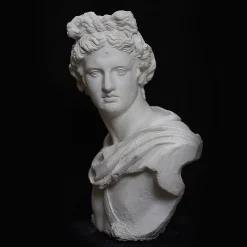 Scultura Apollo del Belvedere in Gesso Bianco