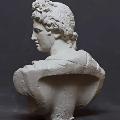 Scultura Apollo del Belvedere in Gesso Bianco