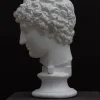 Scultura Busto di Antinoo in Gesso Bianco