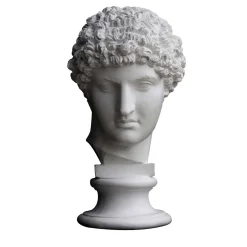 Scultura Busto di Antinoo in Gesso Bianco